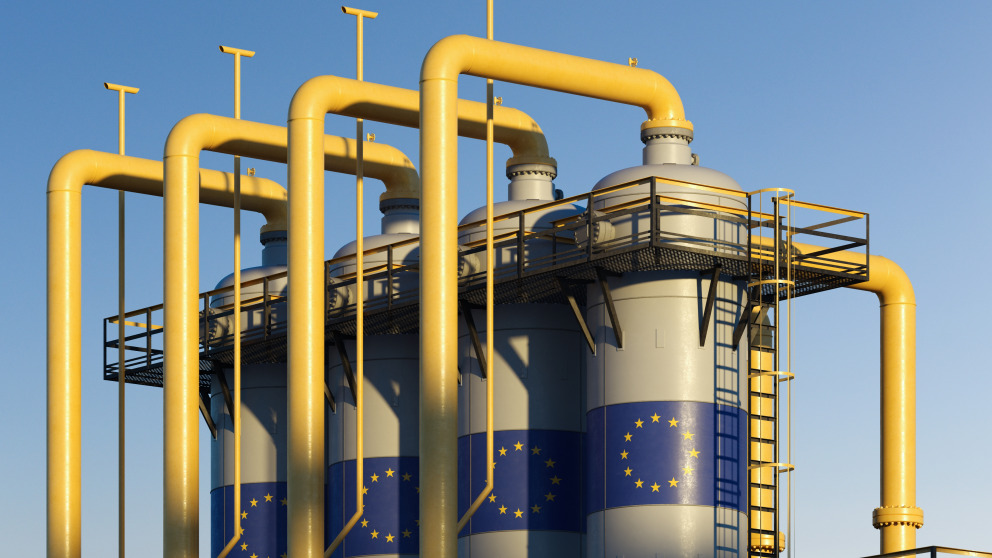 Green hydrogen offers opportunities to develop technological leadership within an emerging net-zero economy.