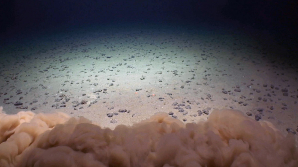 Polymetallic nodules containing minerals essential to energy storage lie at the bottom of the Pacific Ocean.