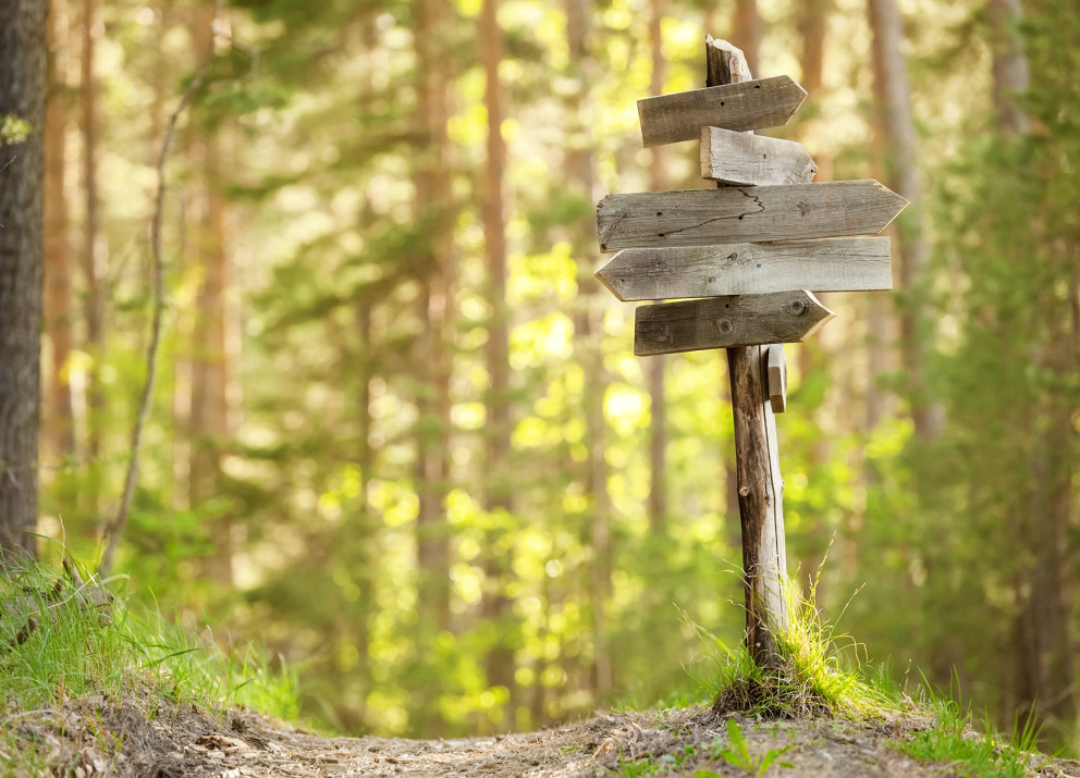 Der Klima-Wegweiser Brandenburg gibt einen Überblick über klimaschutzrelevante Forschung.